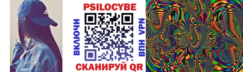 Псилоцибиновые грибы Psilocybe  Балашов 
