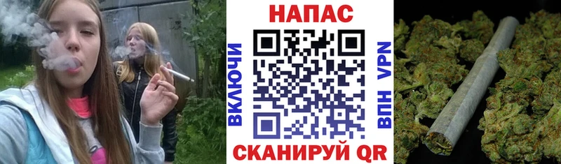 наркота  Балашов  Шишки марихуана VHQ 